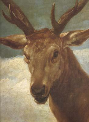 Diego Velazquez Head of a Stag (df01) oil painting image